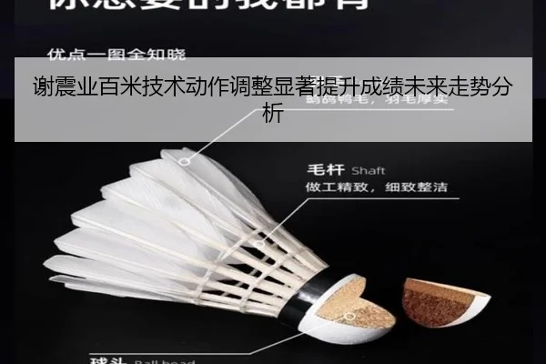 谢震业百米技术动作调整显著提升成绩未来走势分析